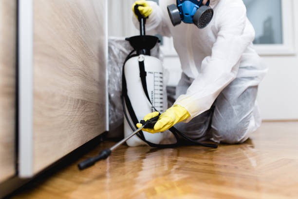 Best Termite Control Services  in Maxwell, CA