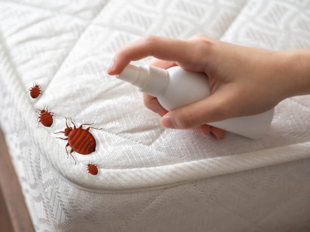 Best Best Pest Control Companies  in Maxwell, CA