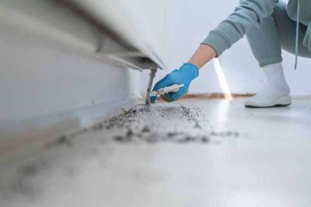 Best Pest Control Near Me  in Maxwell, CA